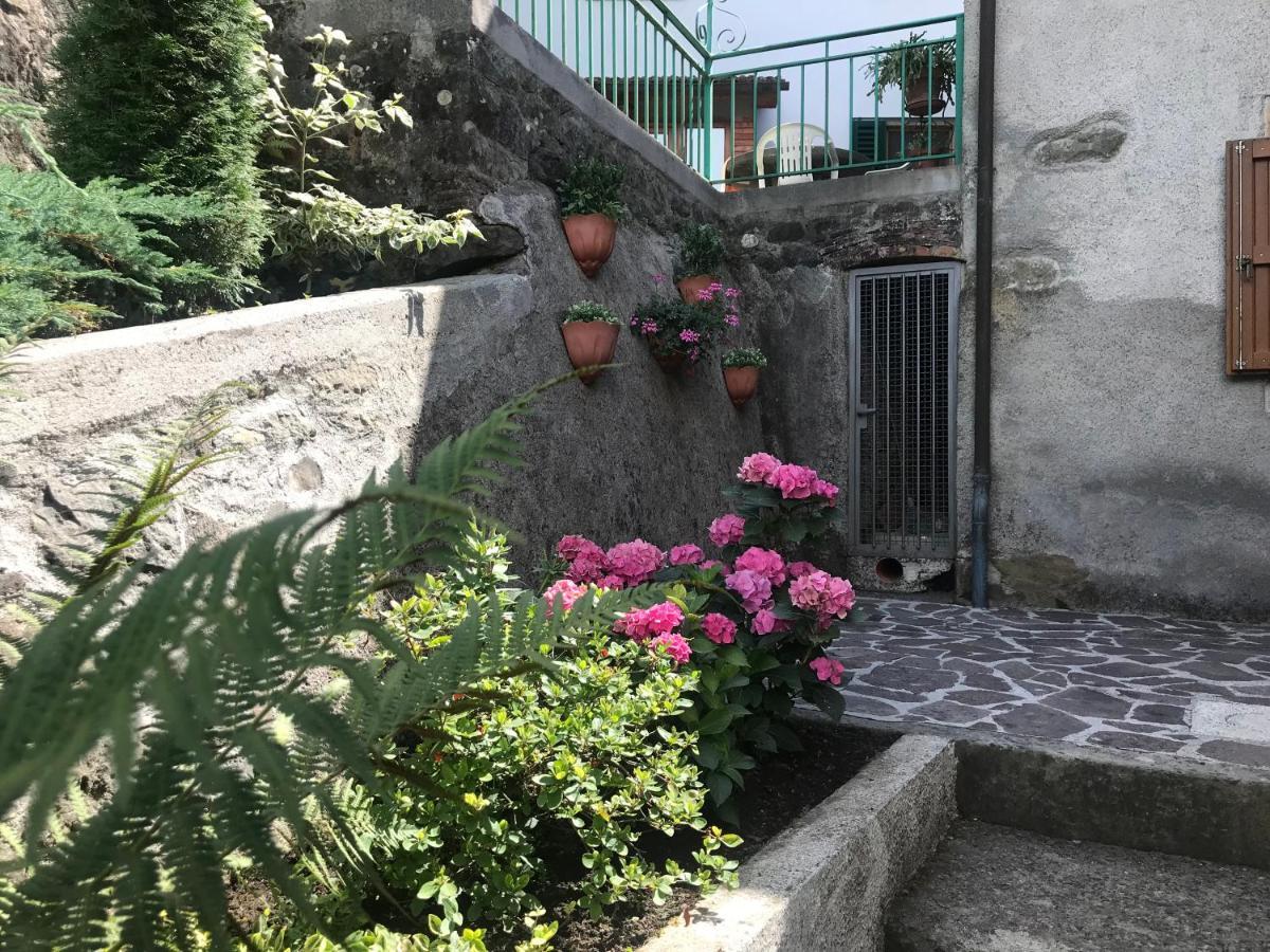 Casa Valeria Pensionat Mammiano Eksteriør billede