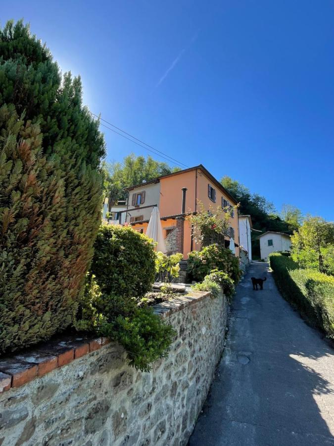 Casa Valeria Pensionat Mammiano Eksteriør billede